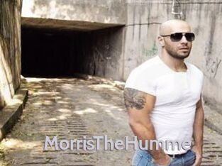 MorrisTheHumme