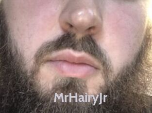 MrHairyJr