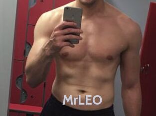 MrLEO