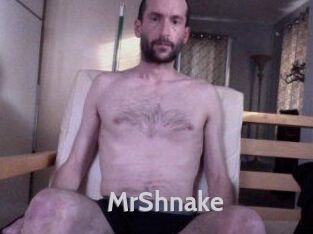 MrShnake