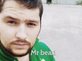 Mr_bear1