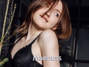 maebuss Live Cam 66