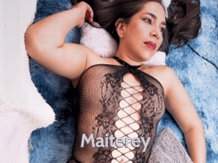 maiterey Live Cam 66