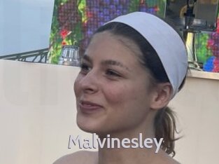 Malvinesley