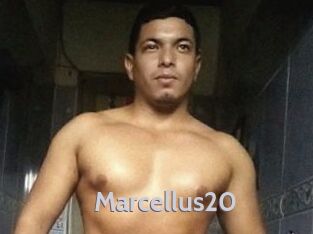 Marcellus20