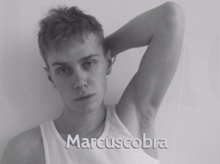 marcuscobra Live Cam 66