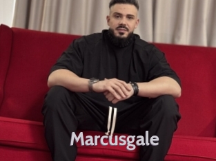 marcusgale Live Cam 66