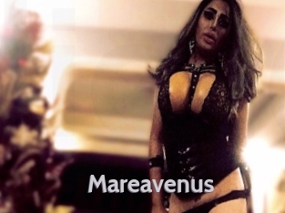 Mareavenus