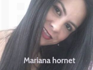 Mariana_hornet