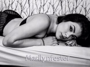 Marilynfester