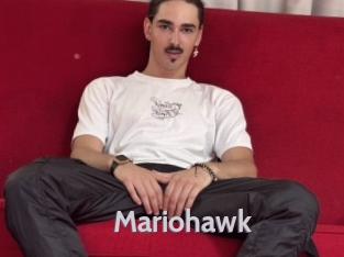 mariohawk Live Cam 66
