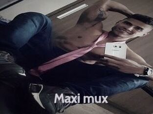Maxi_mux
