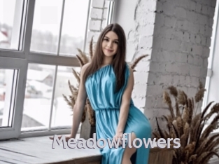 Meadowflowers