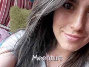 meehturt Live Cam 66