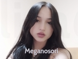 Meganosori