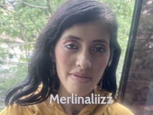 Merlinaliizz