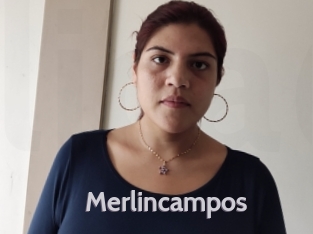 Merlincampos