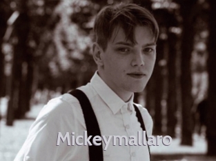 mickeymallaro Live Cam 66