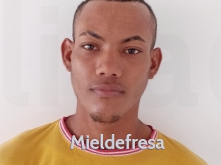 Mieldefresa