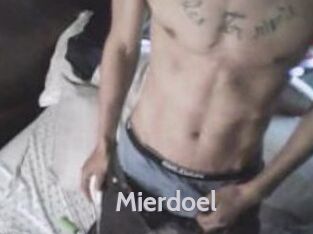 Mierdoel