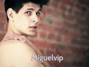 miguelvip Live Cam 66