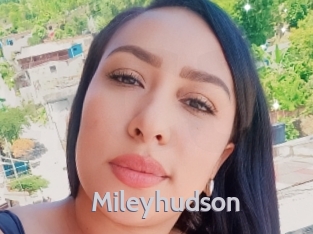 Mileyhudson