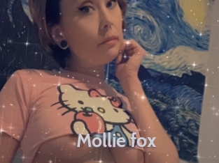 Mollie_fox