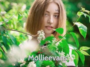 mollieevans Live Cam 66