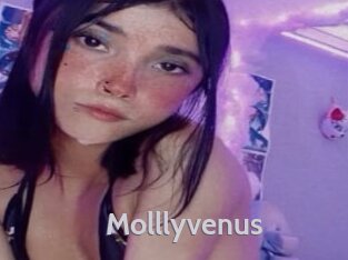 Molllyvenus