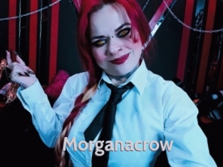 Morganacrow