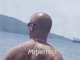 Mrperfect