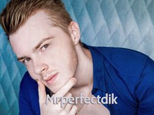 mrperfectdik Live Cam 66