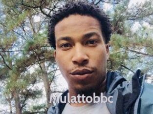 mulattobbc Live Cam 66