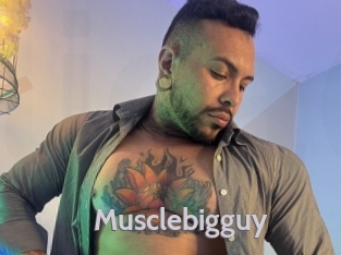 musclebigguy Live Cam 66