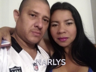 NARLYS Live Cam 66