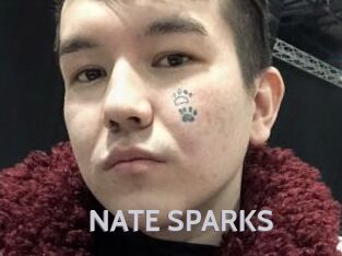 NATE_SPARKS