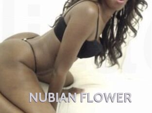 NUBIAN_FLOWER