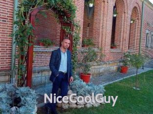 NiceCoolGuy