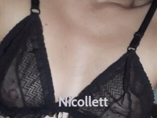 Nicollett Live Cam 66