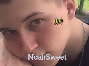 NoahSweet