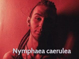 Nymphaea_caerulea Live Cam 66