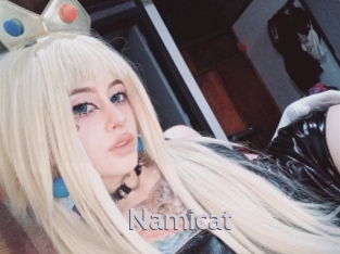 namicat Live Cam 66