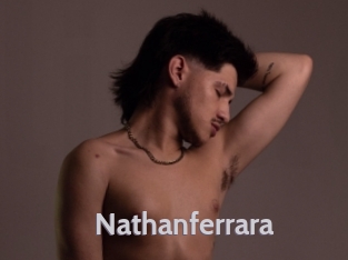 nathanferrara Live Cam 66