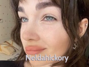 neldahickory Live Cam 66