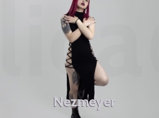 nezmeyer Live Cam 66
