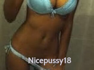 Nicepussy18