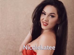 nicolekatee Live Cam 66