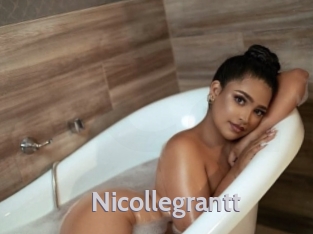 nicollegrantt Live Cam 66