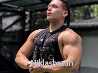 niklasbraun Live Cam 66
