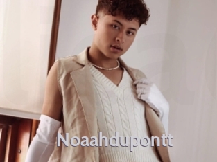 noaahdupontt Live Cam 66